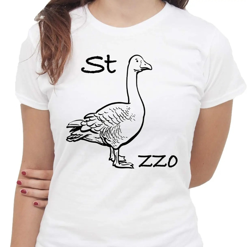 IMage Goose Rebus T-Shirt Funn - Summer Clothing Images recension och pris